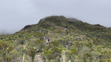 Dağlarda bir grup turist. Güzel dağ manzarası. Yağmur ormanları. Kilimanjaro, Afrika 'ya tırmanmak. Tanzanya 'nın inanılmaz doğası.