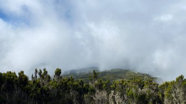 Kilimanjaro dağlarında güzel bulutlar. Tropik orman, yeşil tepeler ve mavi gökyüzü. Tanzanya 'nın inanılmaz doğası. Dağ manzarası. Tırmanan Kilimanjaro, Afrika.