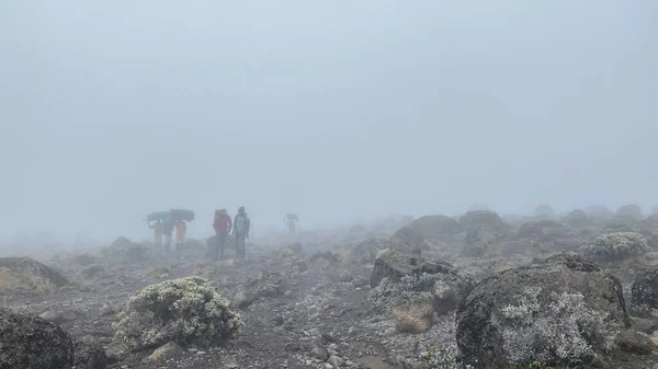 Group Porters Large Backpacks Trunks Heads Foggy Mountain Landscape Climbing — Stock Photo, Image