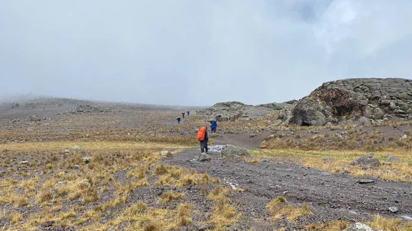 Kafalarında Büyük Sırt Çantaları Gövdeleri Olan Bir Grup Hamal Dağ — Stok fotoğraf