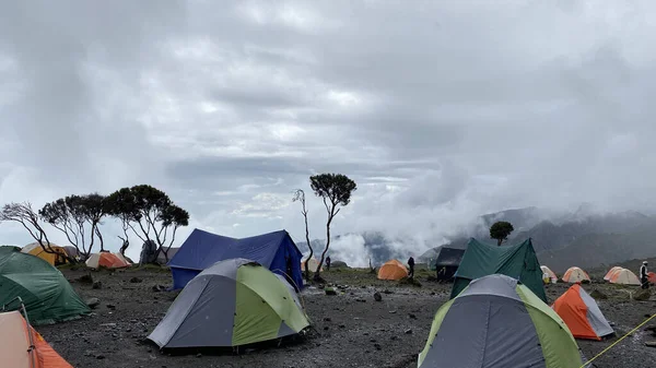 Tälten Shira Cave Camp Foggy Bergslandskap Klättring Kilimanjaro Afrika Den — Stockfoto