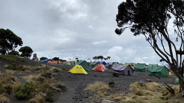 Veel Tenten Staan Camping Shira Grot Kamp Berglandschap Klimmen Kilimanjaro — Stockfoto