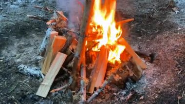 A beautiful blazing fire. Hiking life. Burning firewood and logs. Yellow-orange flames. Winter hike.