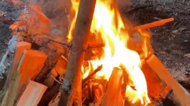 Close-up of burning firewood and logs. A beautiful blazing fire. Yellow-orange flames. Hiking life.