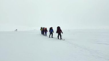 A group of six skiers are skiing on a snow-white field. Beautiful winter landscape. Ski trip across the expanses of Russia. Snow-covered hills, slopes and fields.