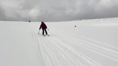 An elderly woman in a burgundy jacket is skiing down a small snow-white slope. Ski trip in the forests of Russia.