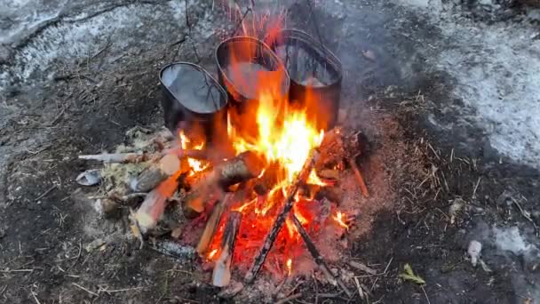 Three Iron Pots Water Hanging Heated Large Fire Burning Firewood — Vídeo de Stock