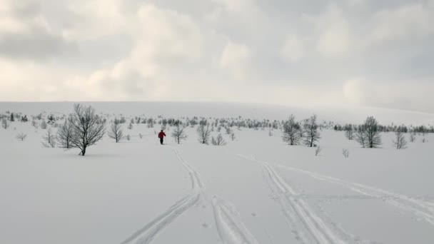 赤いジャケットの男はスキーです 美しい冬の風景 雪に覆われた丘 斜面やフィールド ロシアの拡大にスキー旅行 — ストック動画