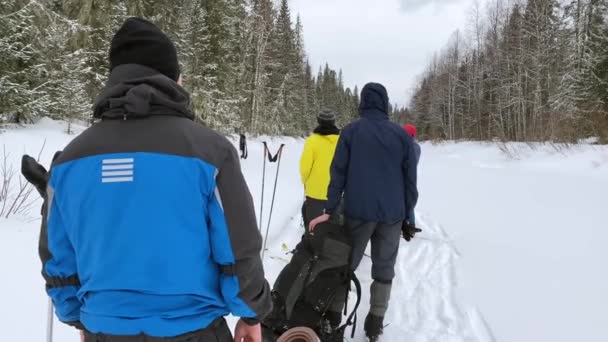 Group Tourists Male Skiers Backpacks Stands Track Looks Distance View — Stockvideo