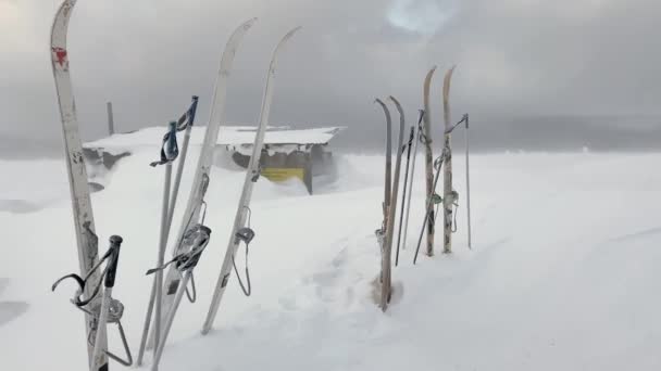 Tourist Skis Ski Poles Stand Sway Strong Wind Beautiful Winter — Stok video