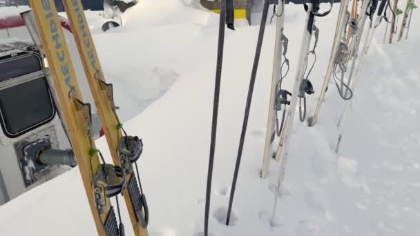Various Tourist Skis Ski Poles Stand Snow White Snowdrifts Beautiful — Vídeos de Stock