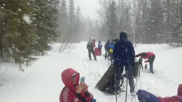 Group Happy Ski Tourists Big Backpacks Ski Trip Forests Russia — Vídeos de Stock
