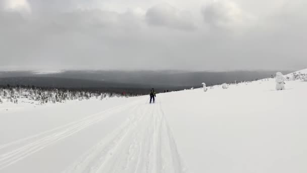 Самець Лижника Спускається Невеличкий Пагорб Вигляд Ззаду Поїздка Лижах Росії — стокове відео