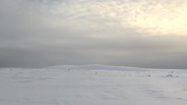 ウラル山脈のヴォロダグラン山のキャンプのパノラマ 美しい冬の風景 スキーポール付きの観光スキーはモジュールの横に立っています スキー旅行 — ストック動画