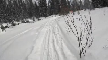 A lagging skier is catching up with his group of tourists with large backpacks. First-person view. Ski trip through a beautiful winter forest in a heavy snowfall.