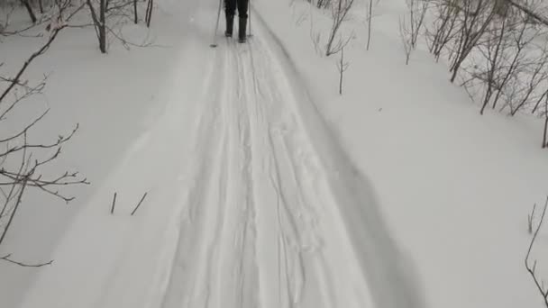 Group People Big Backpacks Skiing Beautiful Winter Forest First Person — Stok video