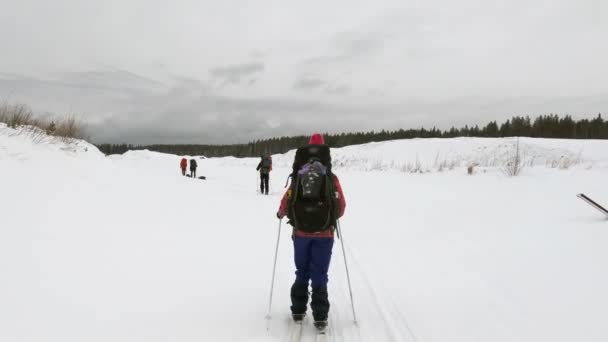 Невелика Група Лижників Великими Рюкзаками Катаються Білосніжному Полі Вид Від — стокове відео