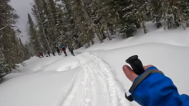 Small Group People Big Backpacks Skiing Snow Covered Path Beautiful — Stok video