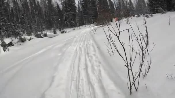 Lagging Skier Catching His Group Tourists Large Backpacks First Person — 图库视频影像