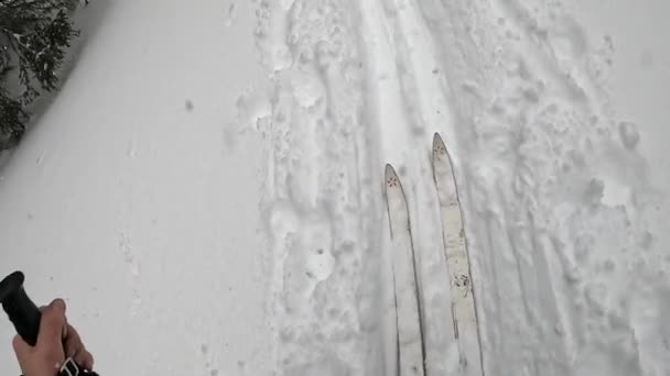 Skier Skiing Snow Covered Track Snowfall First Person View Ski — Vídeo de Stock