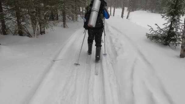 Group Tourists Skiers Big Backpacks Skiing Beautiful Winter Forest First — Vídeos de Stock