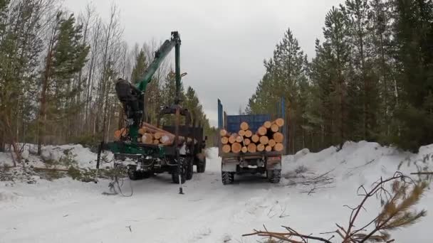 Forestry Equipment Forwarder Loads Timber Timber Truck Beautiful Winter Forest — Stock videók