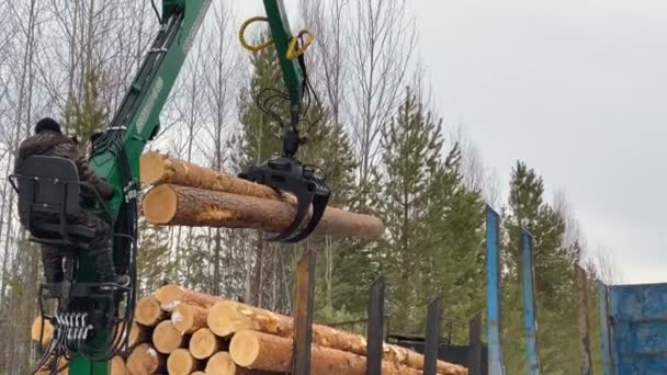 Khanty Mansiysk Autonomous Okrug Russia March 2022 Forwarder Loads Timber — Stok Video