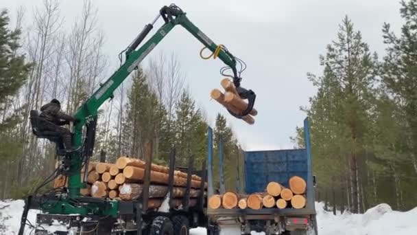 Khanty Mansiysk Autonomous Okrug Russia March 2022 Forwarder Loads Timber — Stockvideo