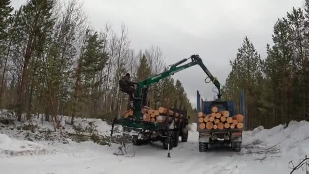 Khanty Mansi Autonomous Okrug Russia March 2022 Transportation Timber Forwarder — Wideo stockowe