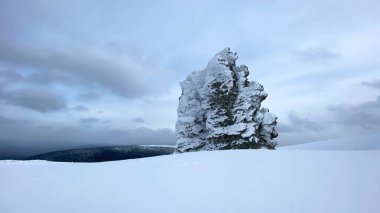 One of the pillars of the Manpupuner Plateau. Weathering pillars, Komi Republic, Russia. One of the seven wonders of Russia. Geological monument in the Troitsko-Pechora region.