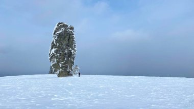 A man stands at the first weathering pillar in the Komi Republic, Russia. Plateau Manpupuner. Geological monument in the Troitsko-Pechora region. One of the seven wonders of Russia.