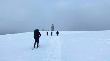 A group of tourists goes to the pillars of the Manpupuner Plateau. Weathering pillars, Komi Republic, Russia. One of the seven wonders of Russia. Geological monument in the Troitsko-Pechora region.