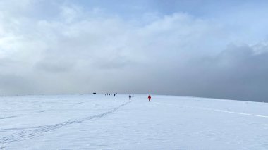 Ski trip across the expanses of Russia. Beautiful winter landscape. A group of skiers is skiing on a snow-white field. Long shot.