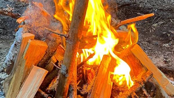Close-up of burning firewood and logs. A beautiful blazing fire. Yellow-orange flames. Hiking life.