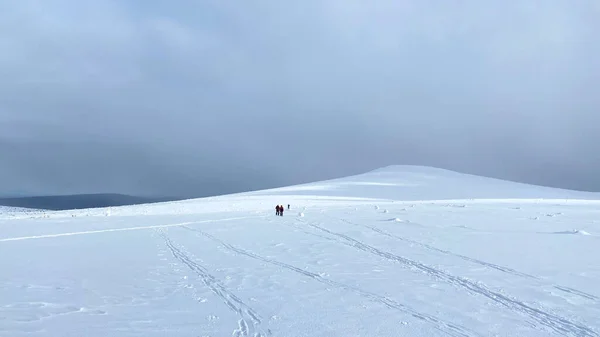 A group of skiers are skiing on a snow-white field. Long shot. Ski trip across the expanses of Russia. Beautiful winter landscape.