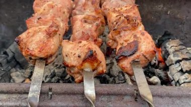 Pork meat on a skewer is fried in a charcoal grill. Picnic in the country. Cooking barbecue. Summer rest.