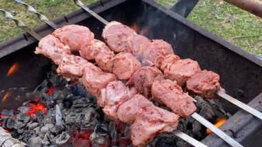 Raw pieces of meat on skewers are grilled on coals. A woman is pouring water on the coals. Picnic in the country. Summer rest. Cooking barbecue.