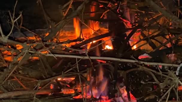 Close Burning Branches Firewood Logs Beautiful Blazing Fire Night Yellow — Video