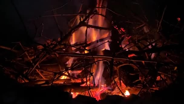 Burning Branches Firewood Logs Fire Yellow Orange Flames Beautiful Blazing — Stock Video