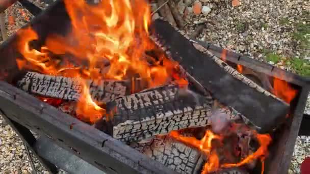 Several Logs Burning Grill Firewood Burns Fire Yellow Orange Flames — Vídeo de Stock