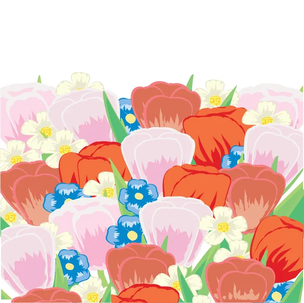 Tulipáncsokor — Stock Vector