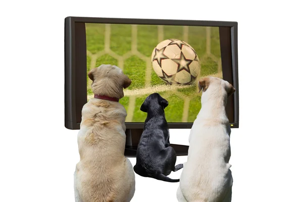 Football on TV — Stock Photo, Image