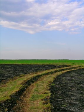 Fırça yangından sonra kırsal manzara