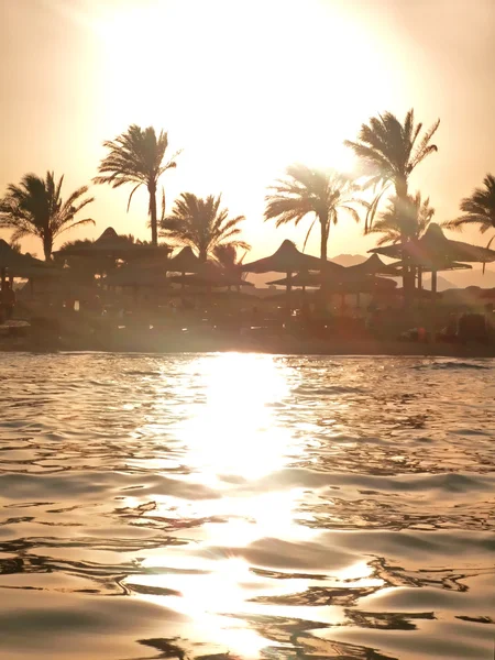 Puesta de sol en la playa y el mar — Foto de Stock