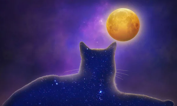 Kosmische Katze Beim Anblick Des Strahlenden Vollmondes Illustration — Stockfoto