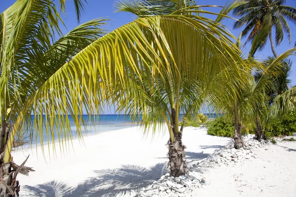 Grand Cayman Beach — Stock Photo, Image