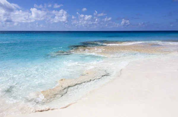 Inviting For A Swim — Stock Photo, Image