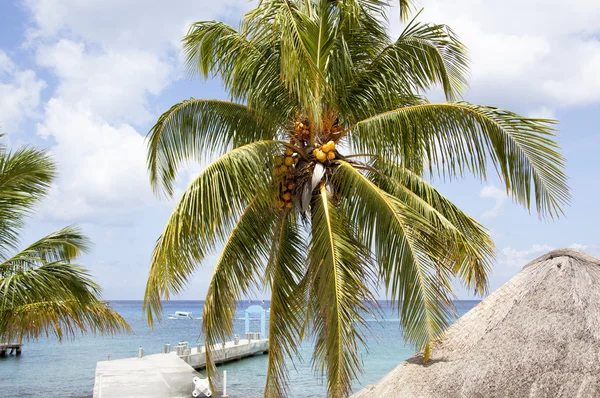 Duikers Pier — Stockfoto