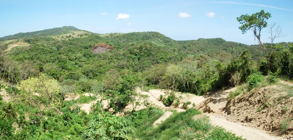 Honduras dzsungel — Stock Fotó