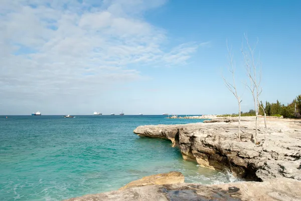 Erosionada Costa Gran Bahama Con Árboles Muertos Barcos Carga Segundo —  Fotos de Stock